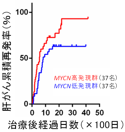 MYCN遺伝子の発現量と肝がん再発率の関係の図